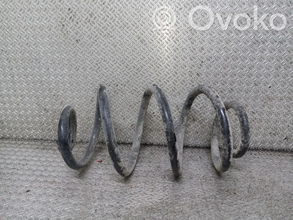 Rear coil spring