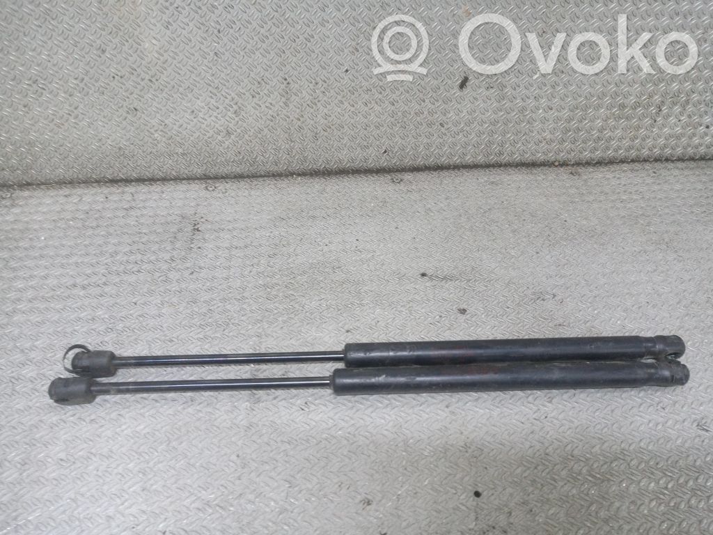 Hyundai Santa Fe Ammortizzatore lunotto posteriore 