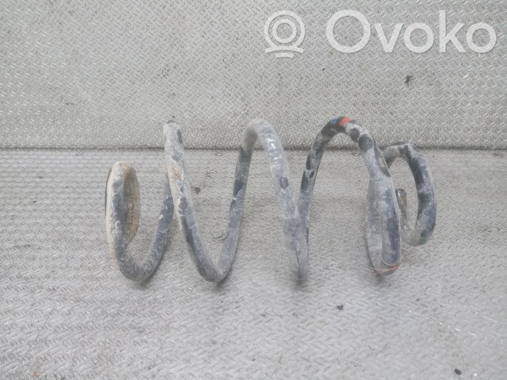Rear coil spring