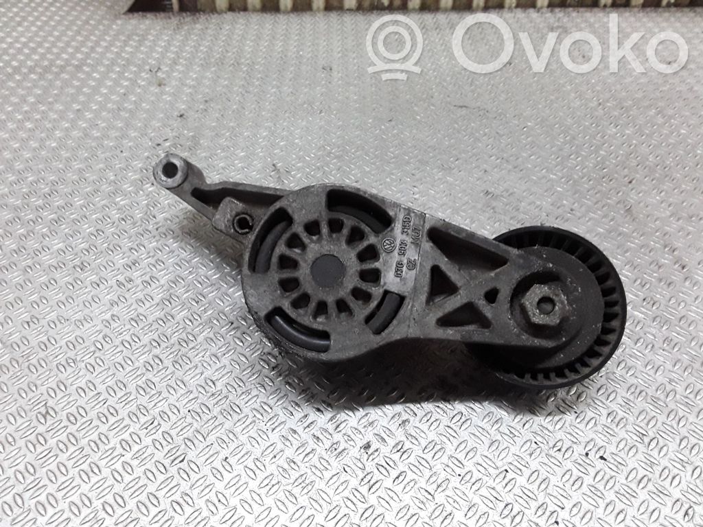 Tendicinghia generatore/alternatore   03G903315D