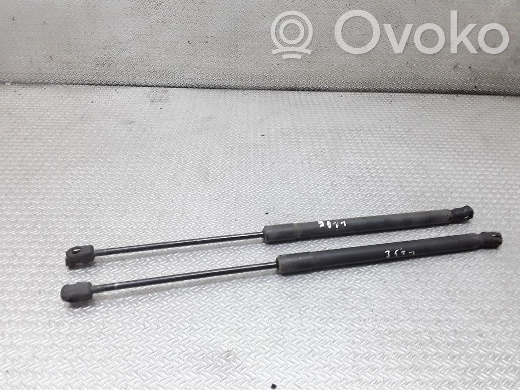 Tailgate/trunk strut/damper   4F9827552C