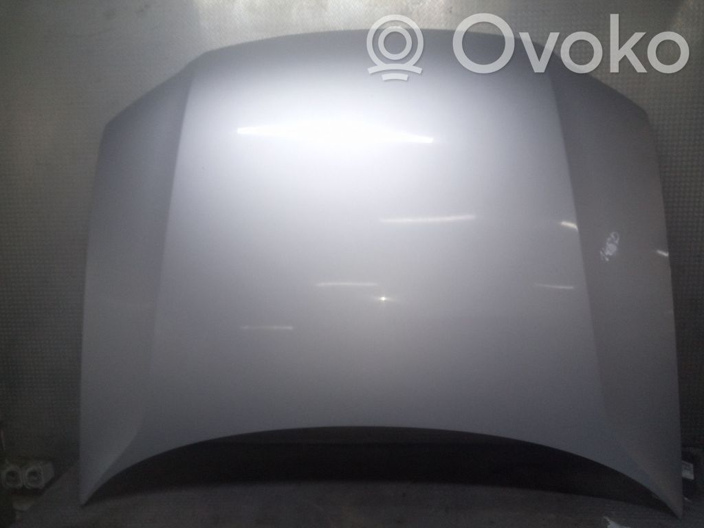 Motorhaube