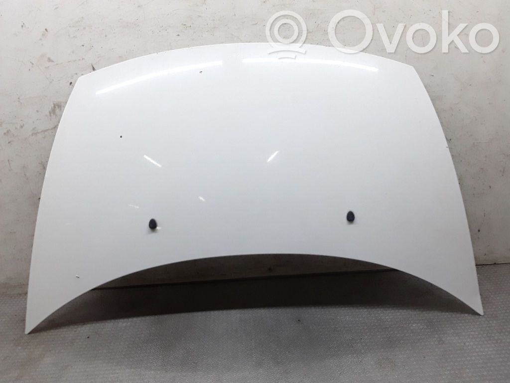 Engine bonnet/hood