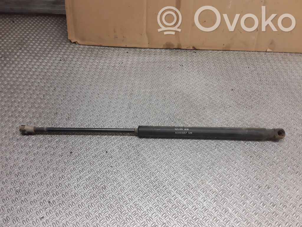 Tailgate/trunk strut/damper   50500057