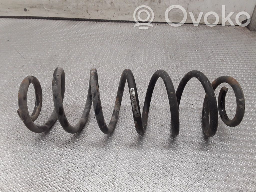 Rear coil spring