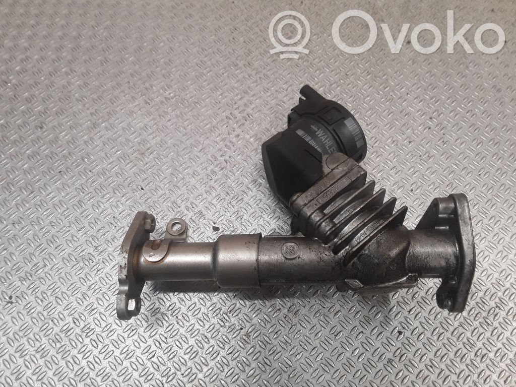Válvula EGR   7563241