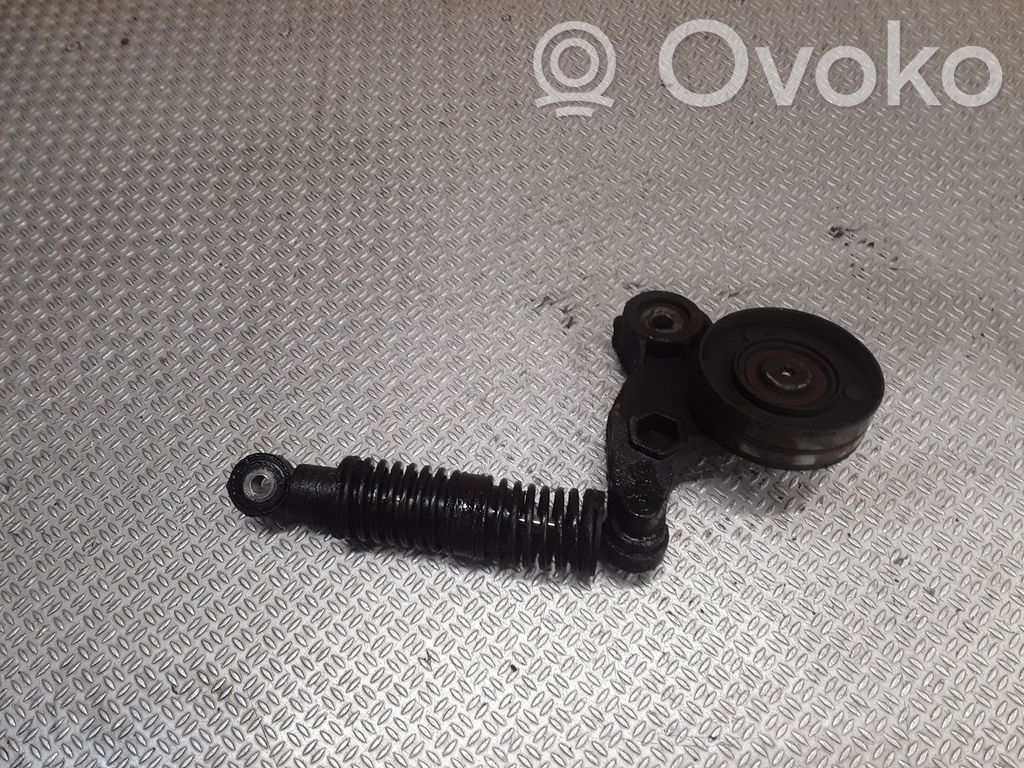 Audi A4 S4 B6 8E 8H Întinzător curea generator/alternator 