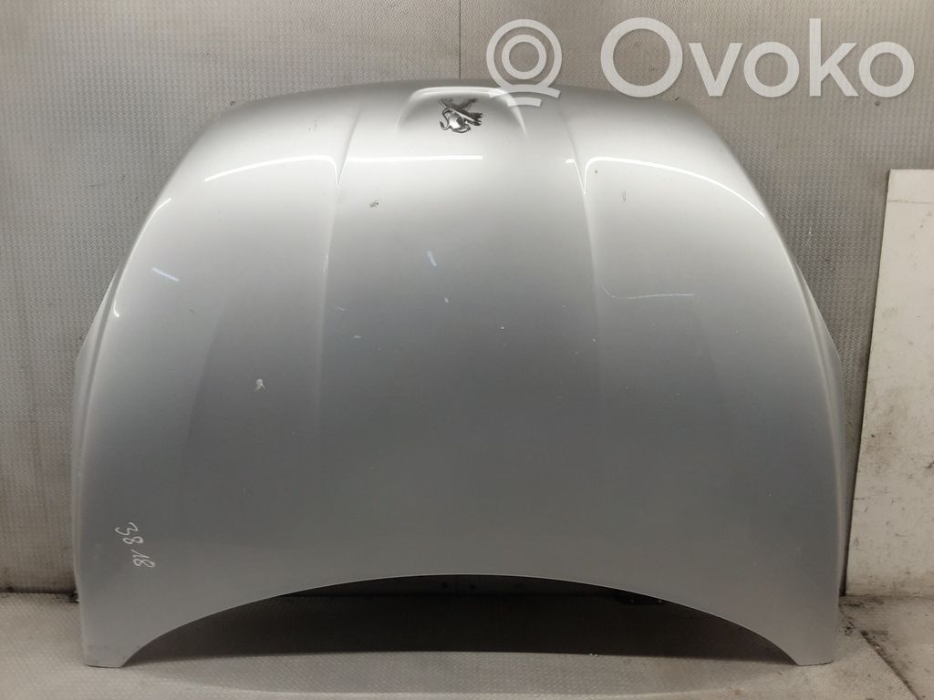 Vano motore/cofano