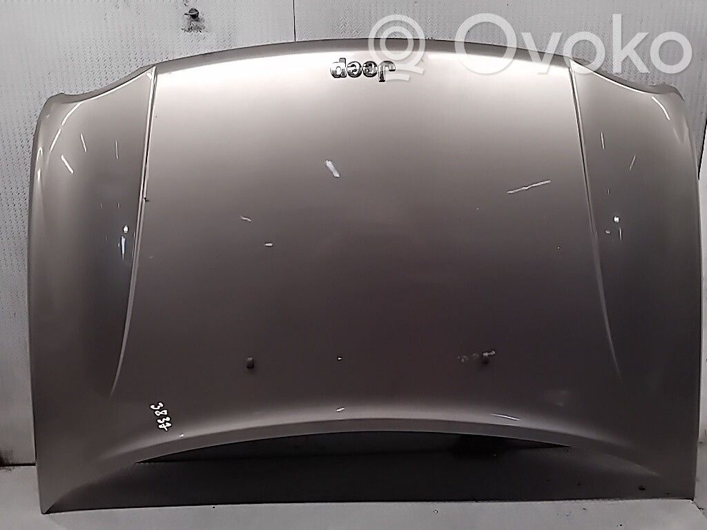 Engine bonnet/hood