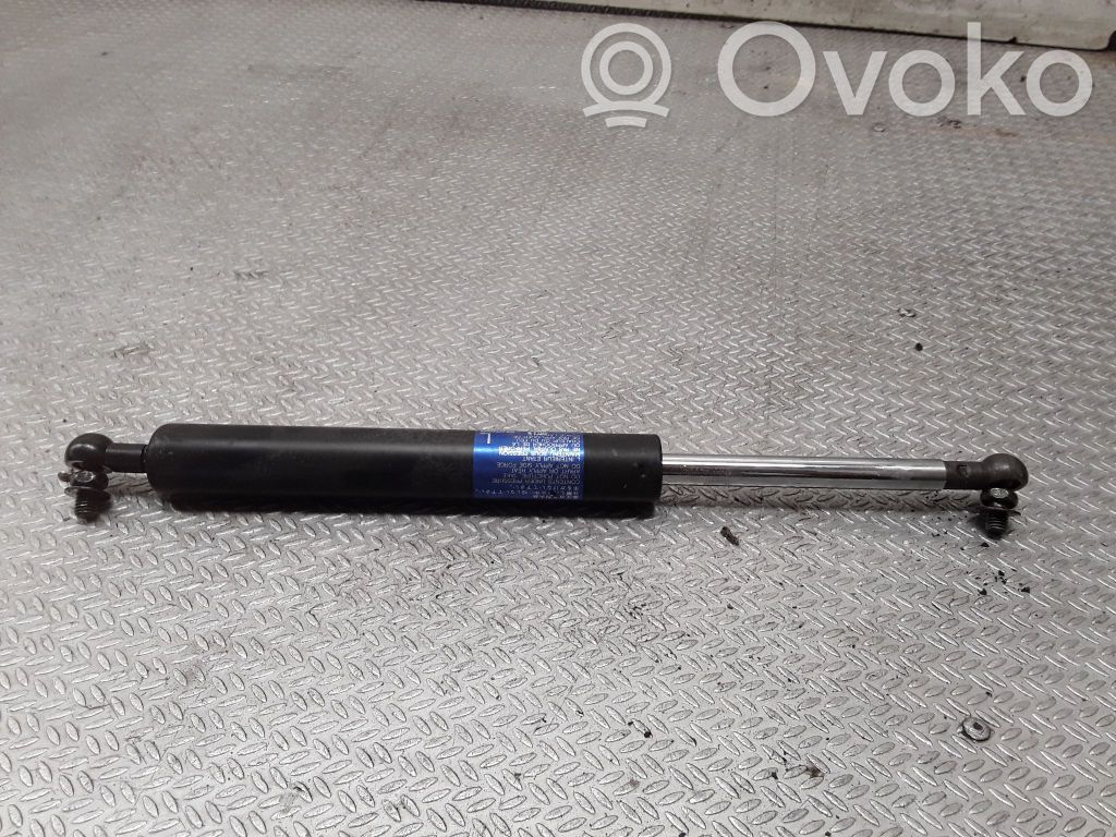 Tailgate/trunk strut/damper