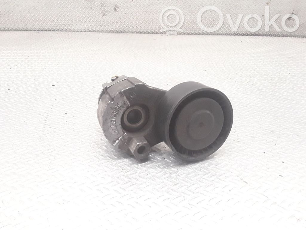Renault Clio IV Napinacz paska alternatora 