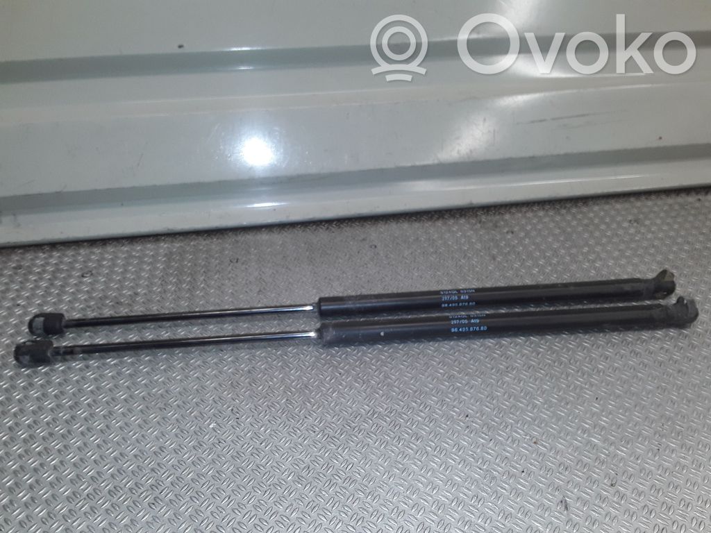 Peugeot 1007 Tailgate/trunk strut/damper