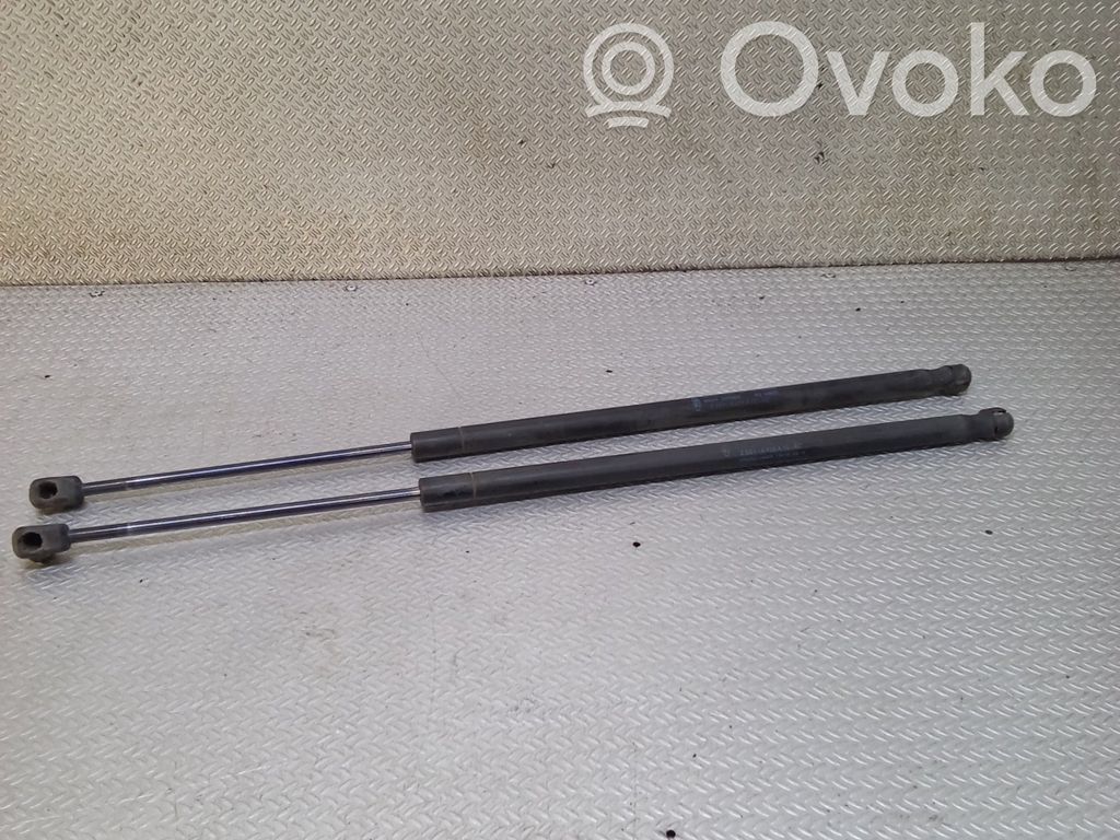 Ford Fiesta Tailgate/trunk strut/damper 