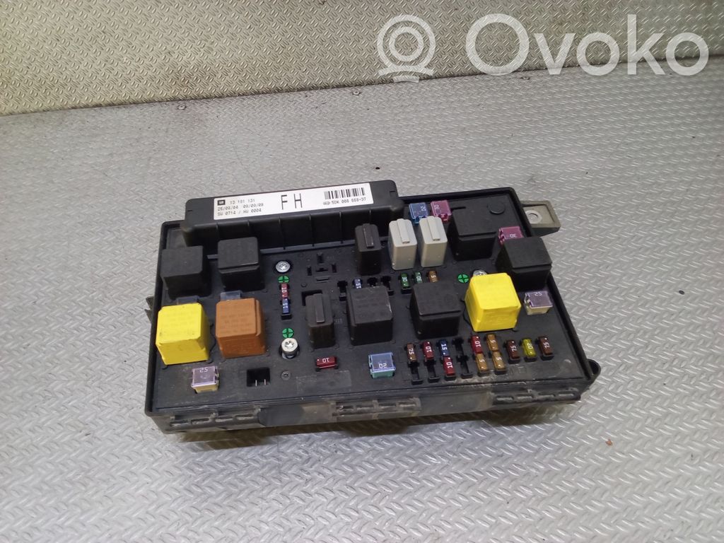 Fuse module   13191131