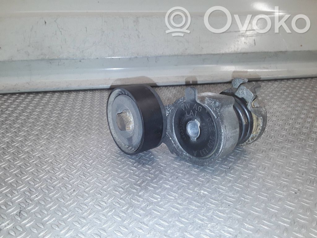 Volkswagen Polo IV 9N3 Tensor de correa del alternador 