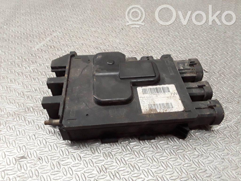 Cableado positivo   243800011R,710114330