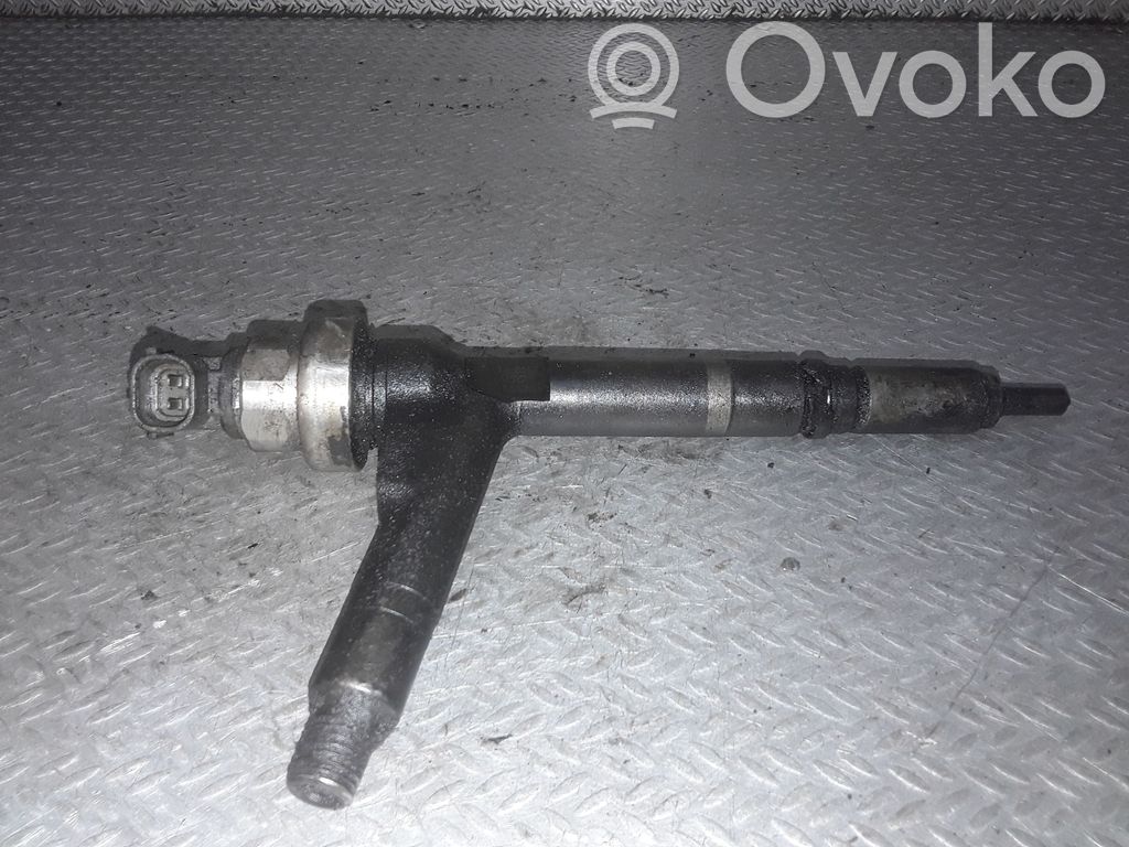 Injector combustibil   8973138612