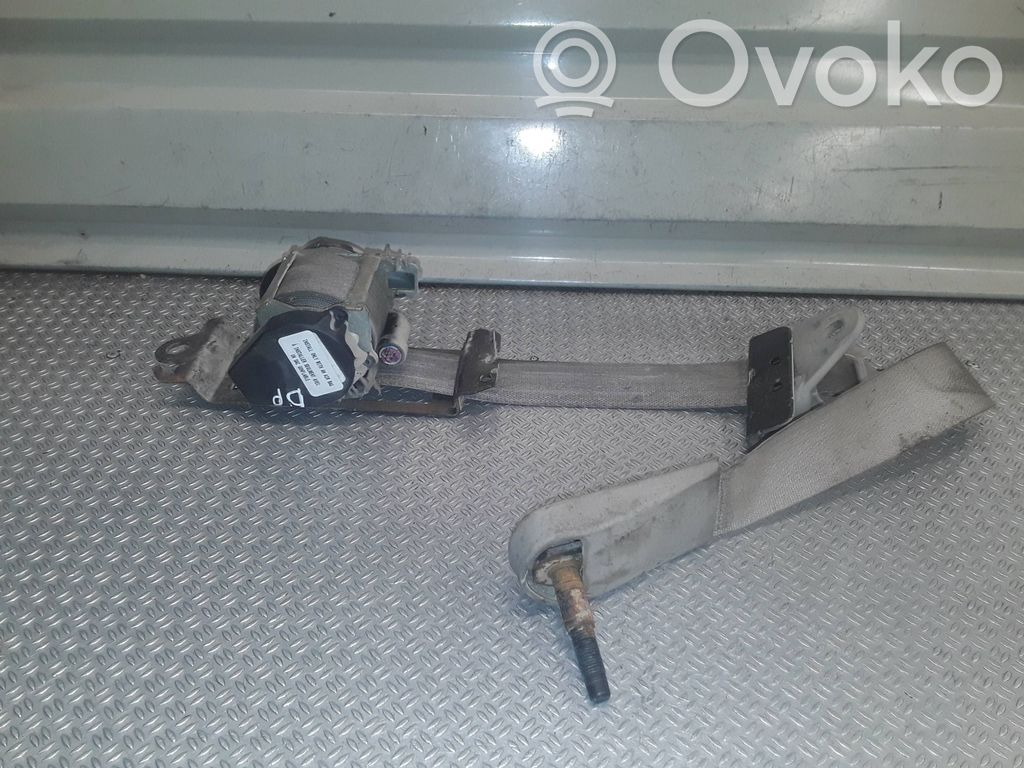 Cinturón delantero   P0TS591L2AE