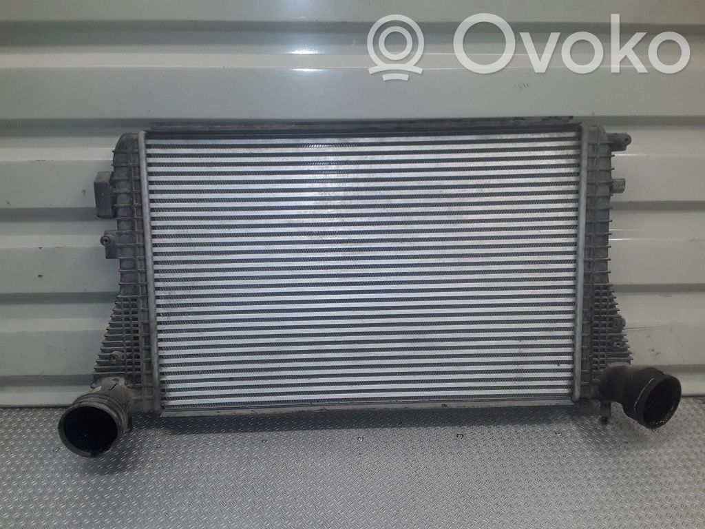 Skoda Octavia Mk2 (1Z) Ladeluftkühler 