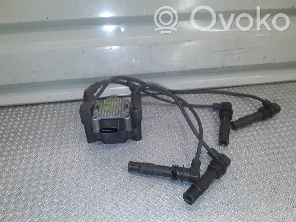 Bobina de encendido de alto voltaje   032905106B
