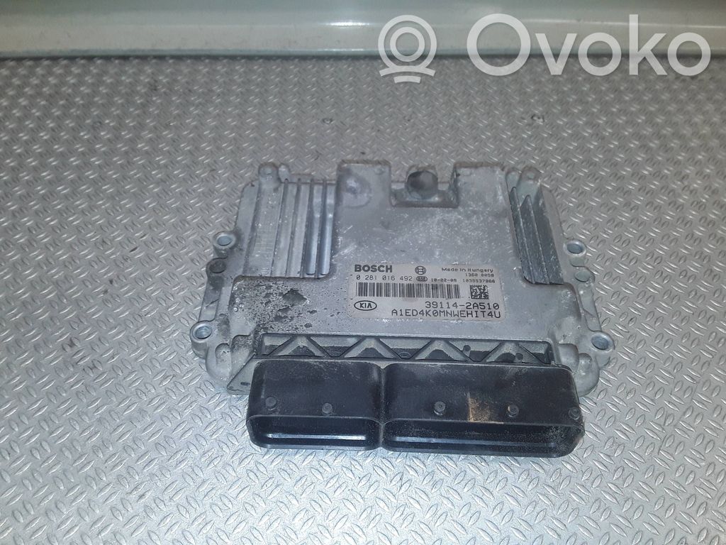 Engine control unit/module   0281016492,391142A510