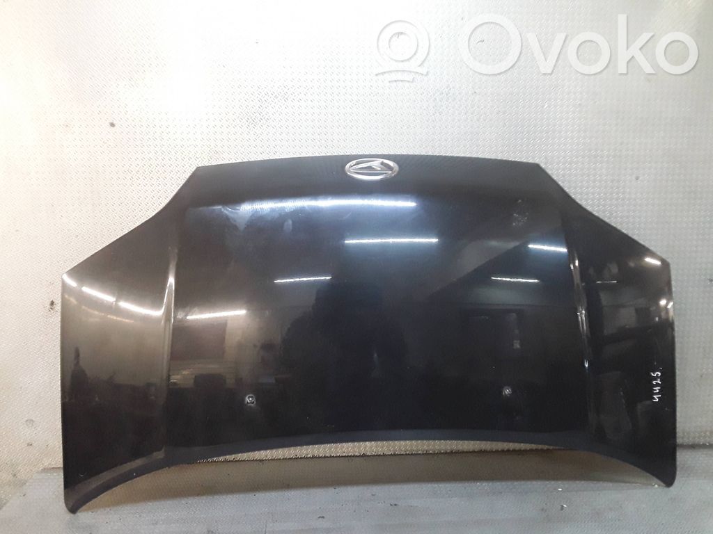 Vano motore/cofano