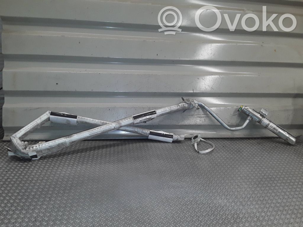 Renault Clio III Kattoturvatyyny 
