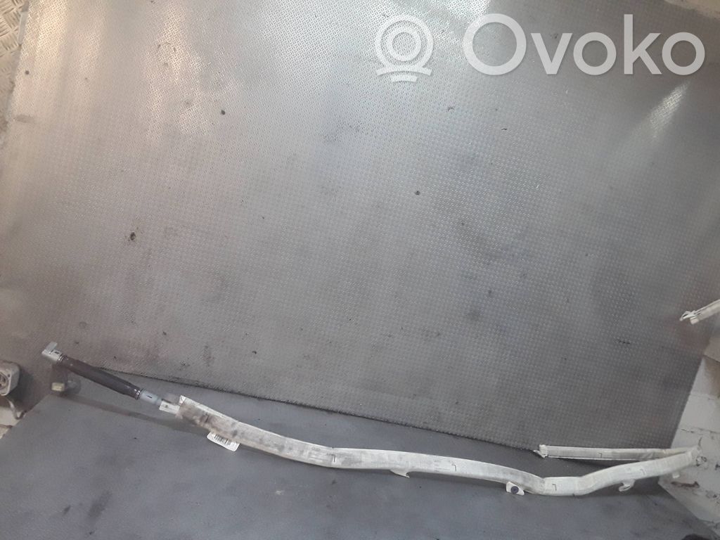 Roof airbag   4E0880741