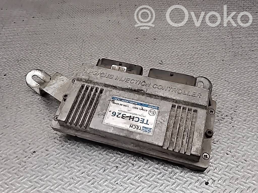 Dujų įrangos valdymo blokas   TECH326,110R006045,67R016025