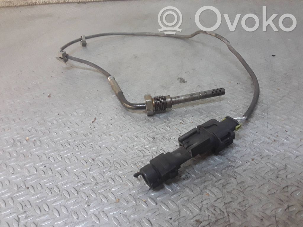Chevrolet Captiva Exhaust gas temperature sensor 