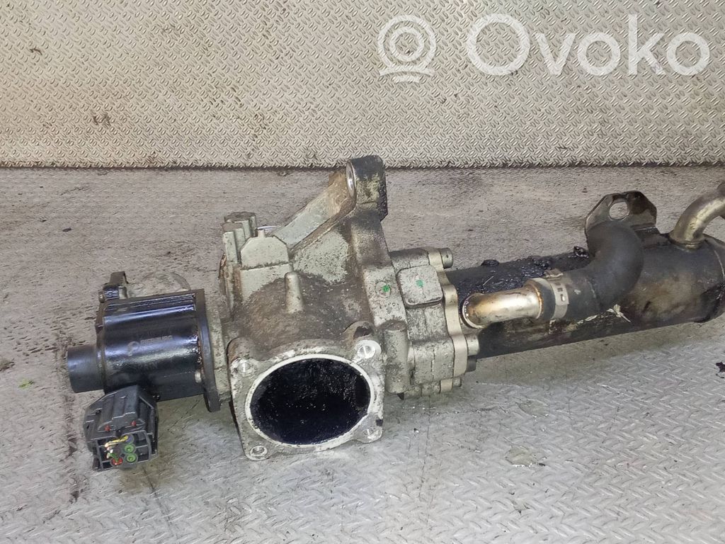Válvula EGR   31219874