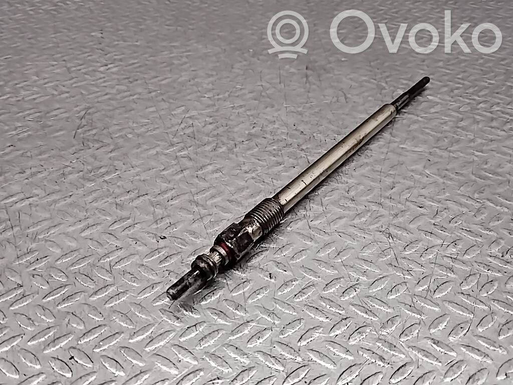 Glow plug   55564162