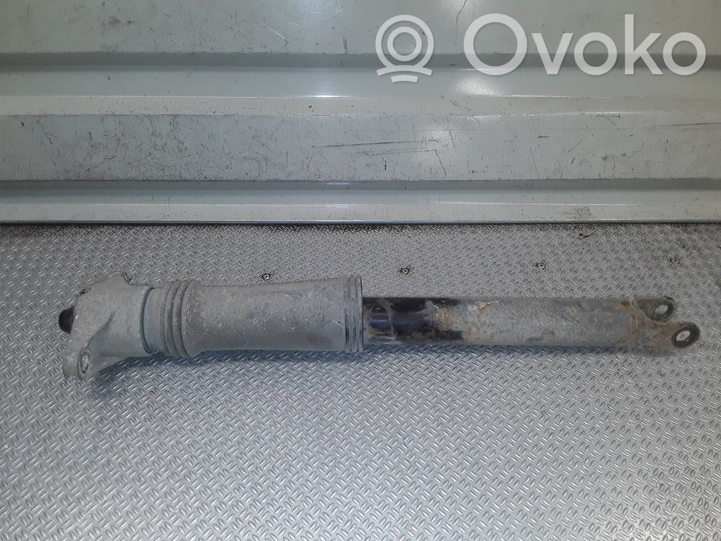 Stoßdämpfer hinten