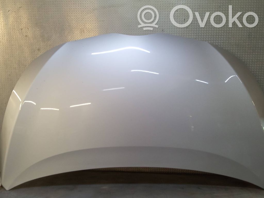 Motorhaube