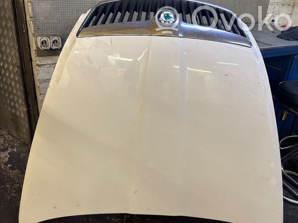 Skoda Octavia Mk2 (1Z) Motorhaube 