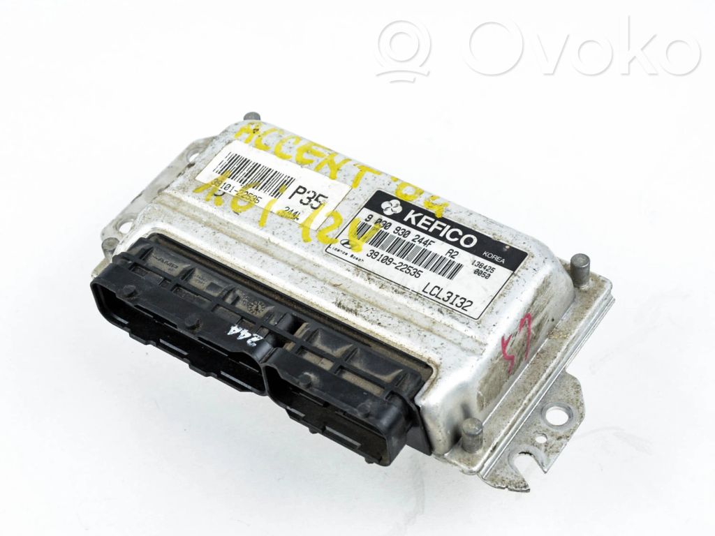 Engine control unit/module ECU   3910922535,3910922535,9030930244F
