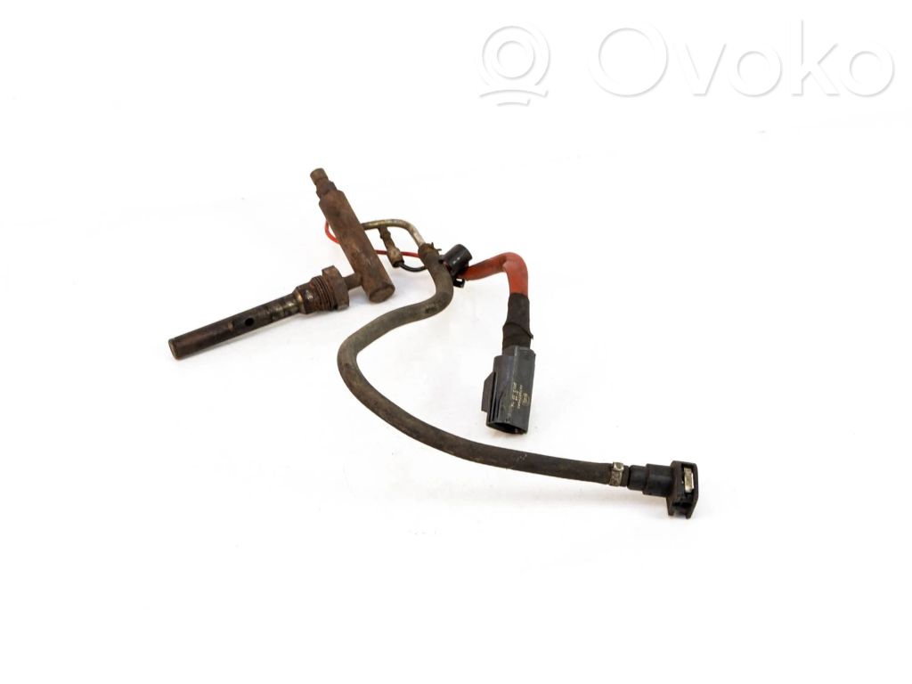 Citroen Jumper Fuel injector 
