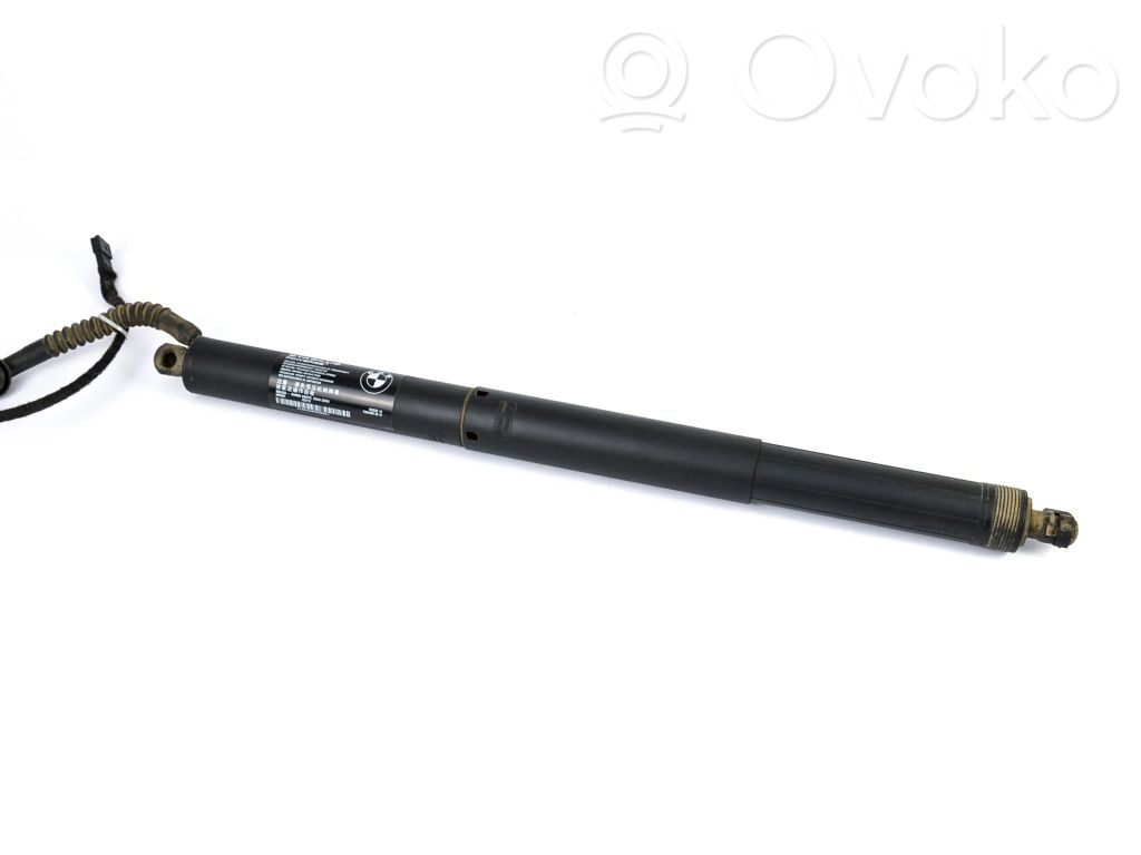 BMW X5 F15 Puntone del portellone posteriore 