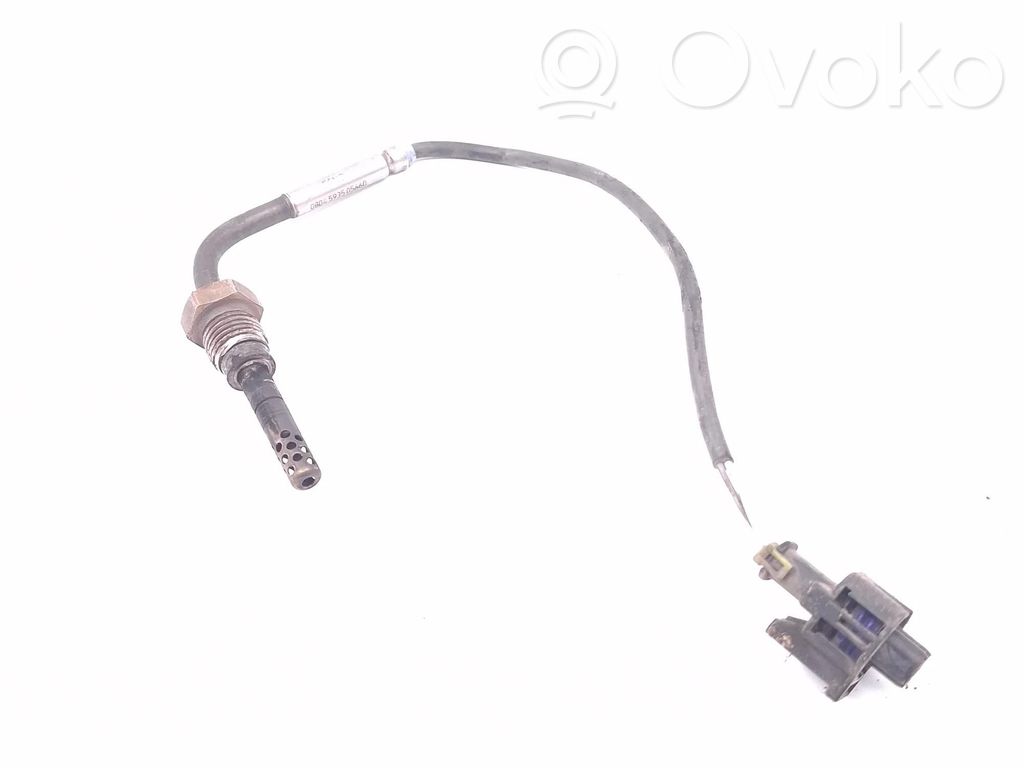 Chevrolet Captiva Exhaust gas temperature sensor 
