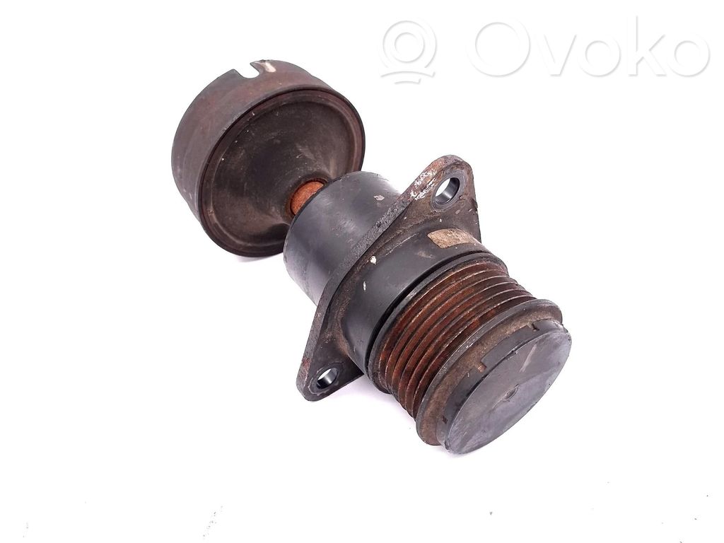 Ford C-MAX I Alternator pulley 