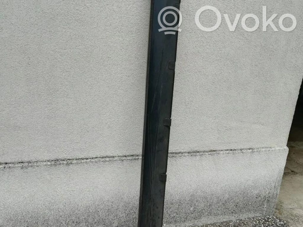 Tesla Model S Priekinis slenkstis (kėbulo dalis) 