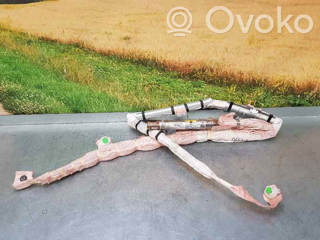 Airbag del techo   D65157KN0E