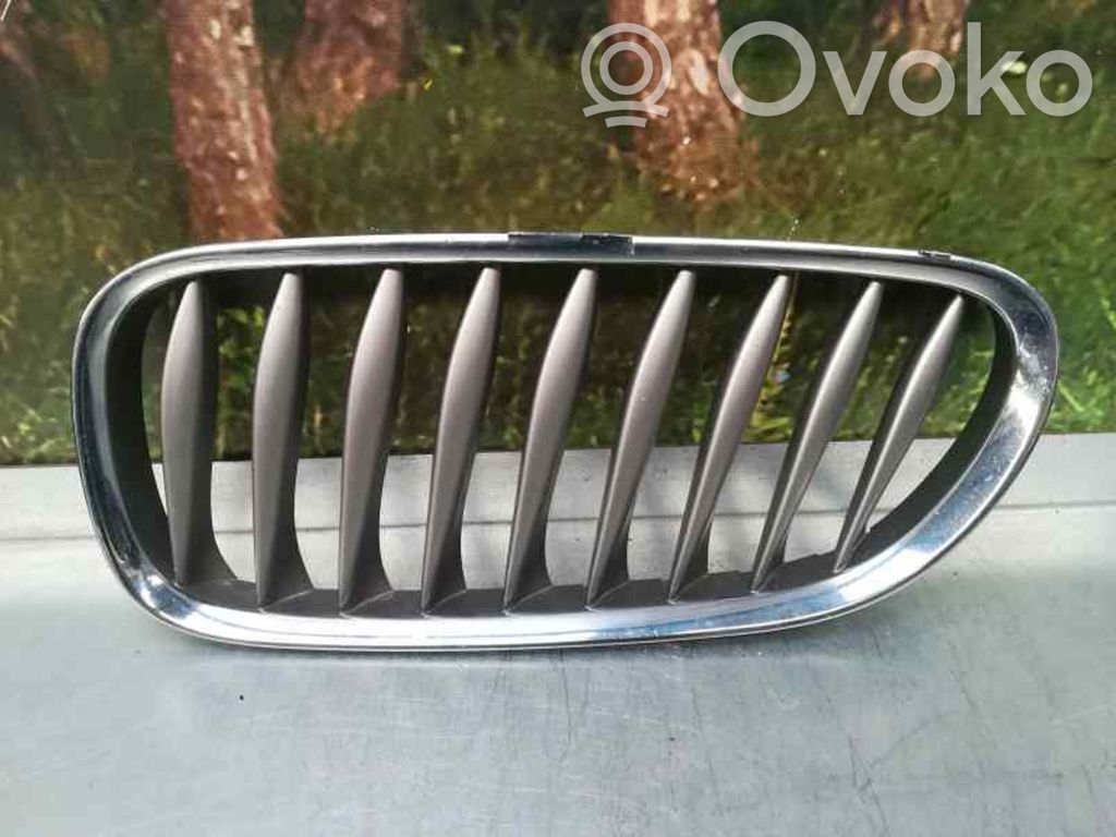 BMW Z4 E85 E86 Grotelės priekinės 