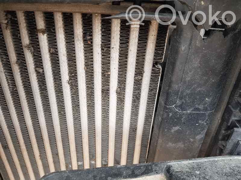 DS Automobiles 3 Crossback Radiator intercooler 