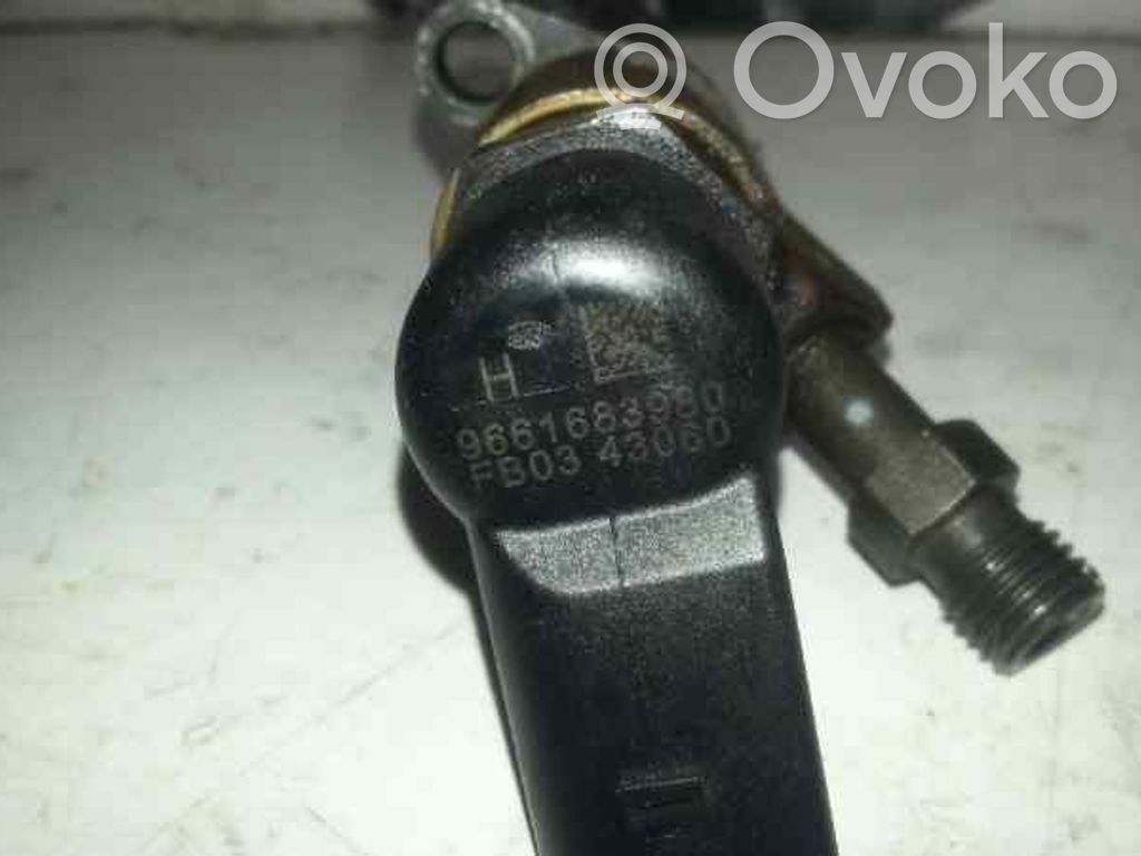 Citroen C5 Inyector de combustible 