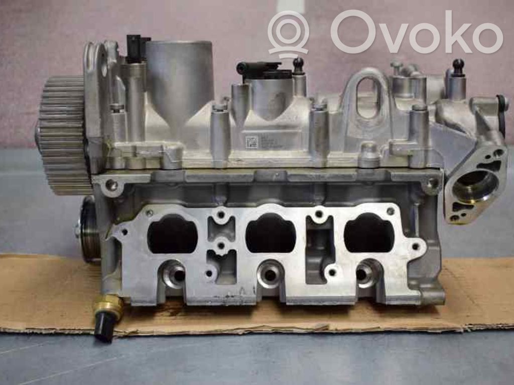 Seat Ibiza IV (6J,6P) Testata motore 