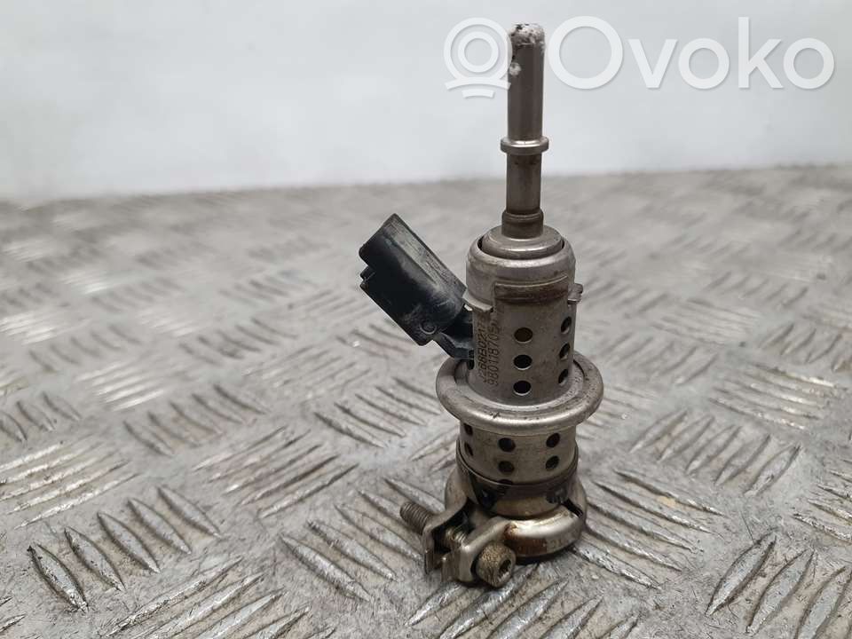 Peugeot 5008 Injector combustibil