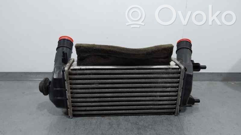 Ford Fiesta Radiatore intercooler