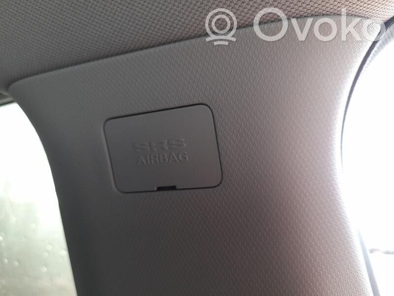 Airbag del techo   10598484