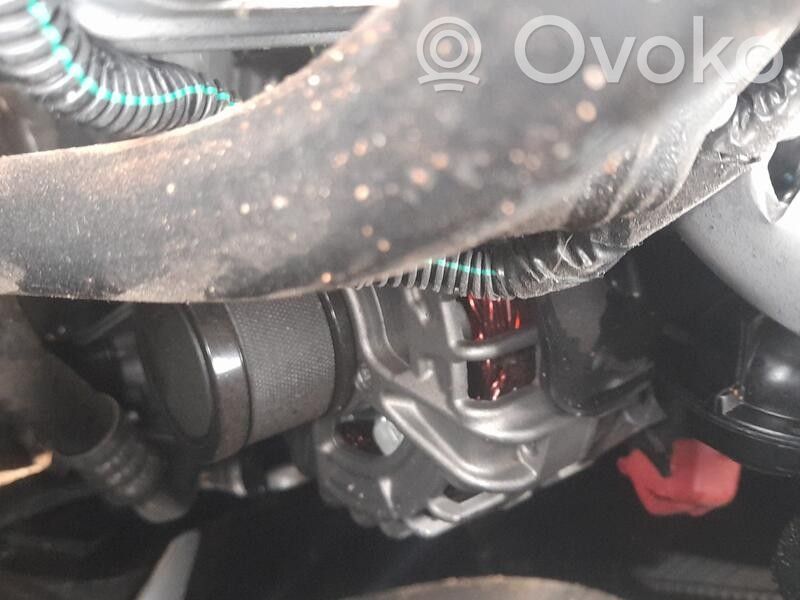 Alternador   231009076R